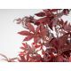 Aranjamente florale LUX - Set de 2 plante artificiale, Artar rosu H-147cm