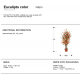 Aranjamente florale LUX - Planta artificiala, Eucalipt colorat H-125cm