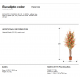 Aranjamente florale LUX - Set de 2 plante artificiale, Eucalipt colorat H-200cm