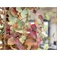 Aranjamente florale LUX - Set de 2 plante artificiale, Eucalipt colorat H-200cm