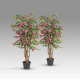 Aranjamente florale LUX - Set de 2 plante artificiale, Bougainvillea roz H-120cm