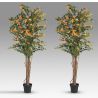 Set de 2 plante artificiale, Bougainvillea portocaliu H-180cm