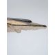 Pendule, Lustre suspendate - Lustra LED suspendata in forma de frunza AMADO XL