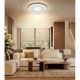 Plafoniere - Plafoniera LED cu telecomanda EILA 59cm