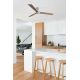 Lustre cu ventilator - Ventilator cu telecomanda RUDDER 3 L alb/frasin