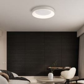 Plafoniere - Plafoniera LED cu telecomanda GALLEGOS 50cm