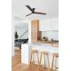 Lustre cu ventilator - Ventilator cu telecomanda RUDDER 3 L negru/nuc
