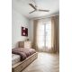 Lustre cu ventilator - Ventilator cu telecomanda RUDDER 3 S alb/frasin