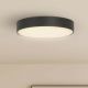 Plafoniere - Plafoniera LED design circular Palma negru 25cm