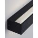 Aplice - Aplica LED CCT ambientala de exterior IP65 LANE negru 21W