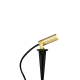 Tarusi - Proiector cu Tarus iluminat exterior decorativ IP54 SPIKE 2700K BRASS