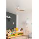 Lustre cu ventilator - Ventilator tavan cu telecomanda MINI PUNT S alb/artar