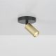 Aplice cu Spot - Aplica cu spot directionabil mini GU10 Ciara 1 negru, auriu