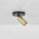 Aplice cu Spot - Aplica cu spot directionabil mini GU10 Ciara 1 negru, auriu