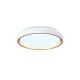 Plafoniere - Plafoniera LED cu telecomanda VERONA aurie 38cm