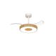 Lustre cu ventilator - Lustra LED cu Ventilator tavan smart sistem TUYA si telecomanda COIN lemn