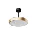 Lustre cu ventilator - Lustra LED cu ventilator palete retractabile NISEKO M negru/ auriu