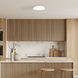 Plafoniere - Plafoniera LED 20W, 30cm, TURIN CCT II