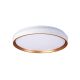 Plafoniere - Plafoniera LED cu telecomanda 55W, diametru 48cm, VERONA II CCT alb/auriu