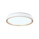 Plafoniere - Plafoniera LED cu telecomanda 55W, diametru 48cm, VERONA II CCT alb/auriu