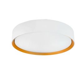 Iluminat pentru baie - Plafoniera LED CCT cu protectie IP44 Binary Pro 24W, alb/ auriu