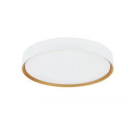 Iluminat pentru baie - Plafoniera LED CCT cu protectie IP44 Binary Pro 30W, alb/ auriu