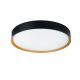 Plafoniera LED CCT cu protectie IP44 Binary Pro 30W, negru/ auriu