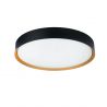 Plafoniera LED CCT cu protectie IP44 Binary Pro 30W, negru/ auriu