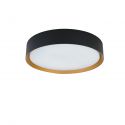 Plafoniera LED CCT cu protectie IP44 Binary Pro 24W, negru/ auriu