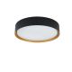 Plafoniera LED CCT cu protectie IP44 Binary Pro 24W, negru/ auriu