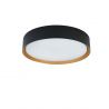 Plafoniera LED CCT cu protectie IP44 Binary Pro 24W, negru/ auriu