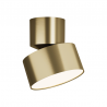 Spot aplicat LED 10W, directionabil, auriu mat