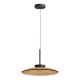 Pendule, Lustre suspendate - Lustra suspendata LED iluminat sus si jos, TAWNY GLASS