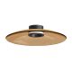 Lustre aplicate - Lustra aplicata din sticla diametru 50cm, LED TAWNY GLASS