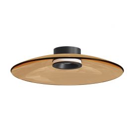 Lustre aplicate - Lustra aplicata din sticla diametru 50cm, LED TAWNY GLASS
