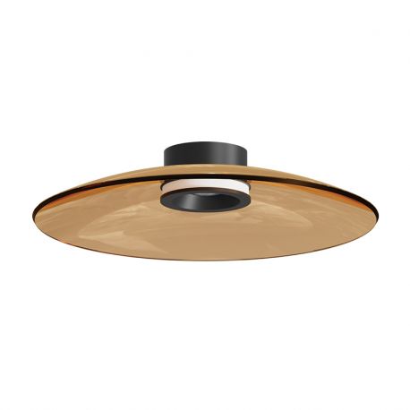 Lustre aplicate - Lustra aplicata din sticla diametru 50cm, LED TAWNY GLASS