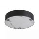 Iluminat pentru baie - Plafoniera Marmo LED baie IP44 metal negru si rasina cu aspect de marmura