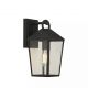 Aplice - Aplica perete exterior din otel negru si sticla, protectie IP44 Lantern