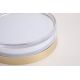 Iluminat pentru baie - Mini Plafoniera diametru 23cm, Button LED iluminat baie IP65 auriu