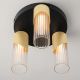 Lustre aplicate - Lustra aplicata tavan MODESTO