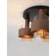 Lustre aplicate - Lustra aplicata tavan SERENA 3L