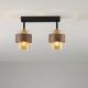 Lustre aplicate - Lustra aplicata tavan SERENA 2L