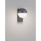 Aplice - Aplica LED, iluminat exterior 3000K IP54 MAKO antracit