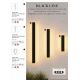 Aplice - Aplica exterior liniara 60cm cu senzor de miscare, IP65 LED Black Line