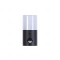 Aplica perete exterior cu senzor de miscare, IP44 Colorado