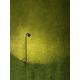 Tarusi - Stalp LED cu tarus, iluminat exterior modern IP65 WAKE negru 60cm 24V