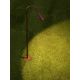 Tarusi - Stalp LED cu tarus, iluminat exterior modern IP65 WAKE corten 60cm 24V