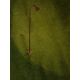 Tarusi - Stalp LED cu tarus, iluminat exterior modern IP65 WAKE corten 90cm 24V
