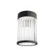 Mini Plafoniera din metal negru si sticla Fiatto PL 8