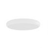 Plafoniera slim din metal alb, LED CCT Piatto 60cm